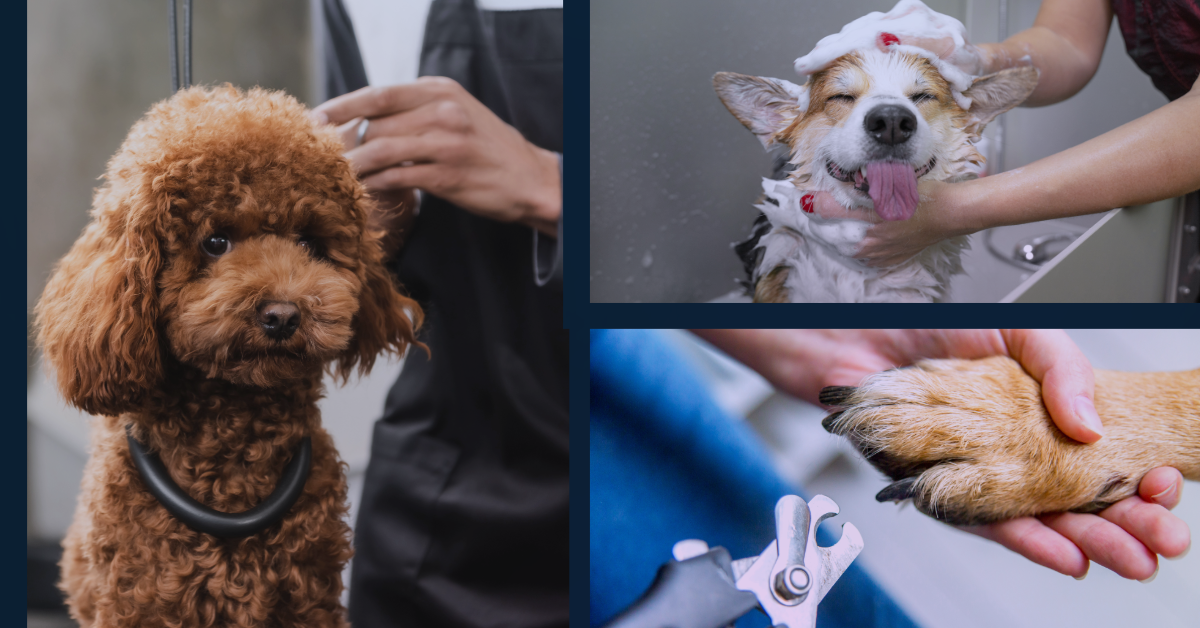 On site discount dog grooming
