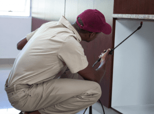 Pest control pro spraying for bugs in home
