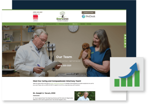 Green Tree Animal Hospital's website and performance
