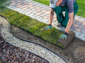 Landscaper applying sod along pavers