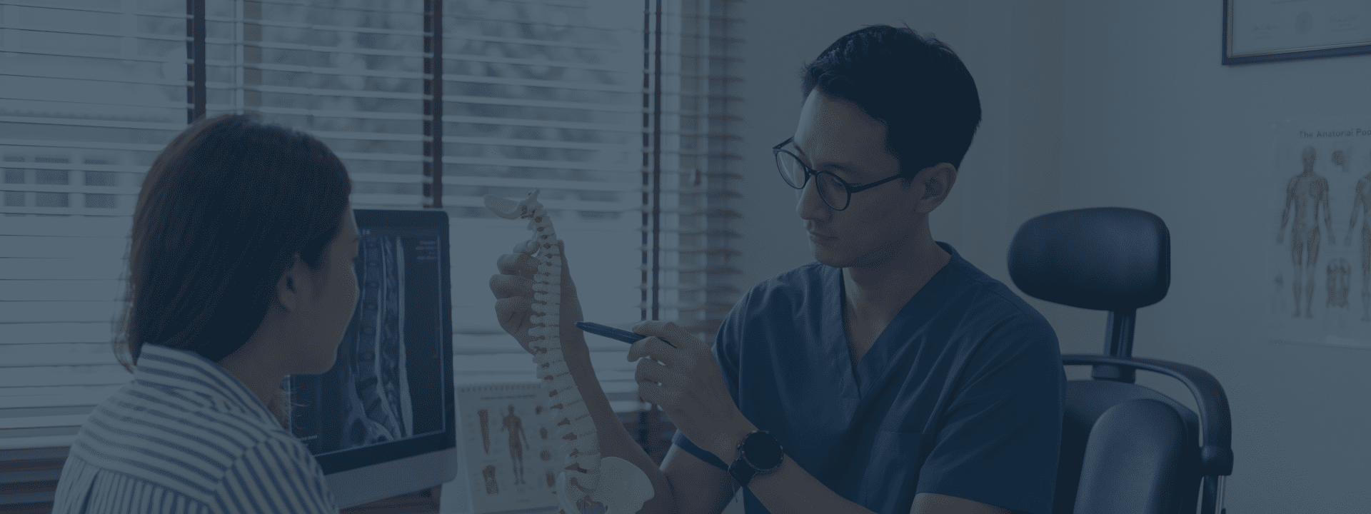 Chiropractor holding spine model for patient in office