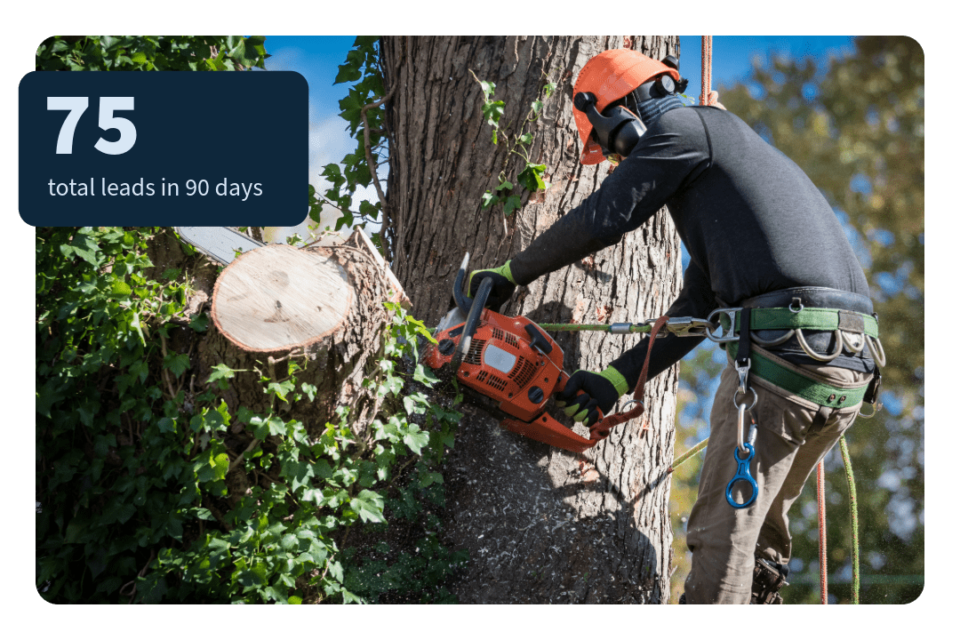 Tree-Removal-Case-Study-green-tree-property.png