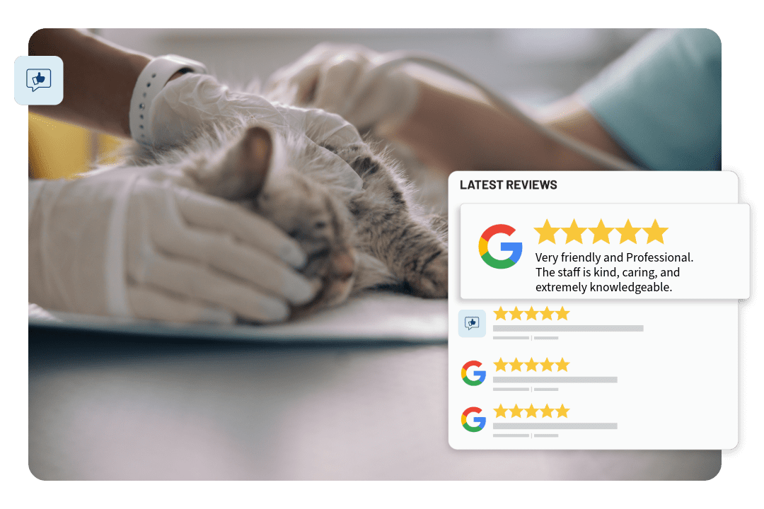 Veterinarians-blocks-02.png