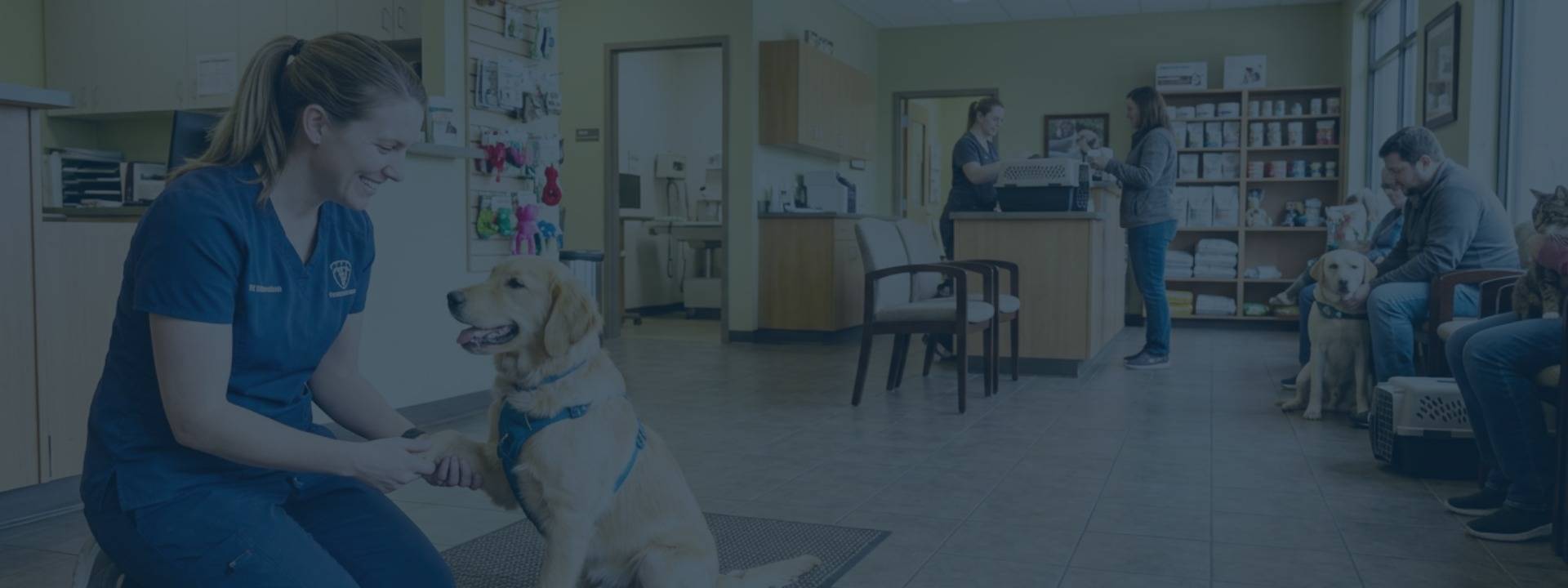 Veterinarians-Hero-Image.jpeg