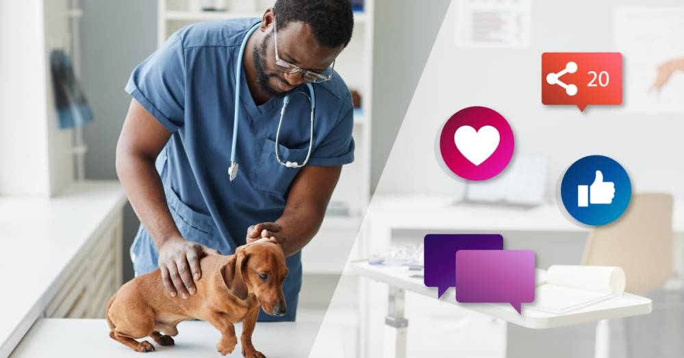 Veterinary Social Media Ideas