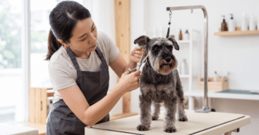 Dog groomer